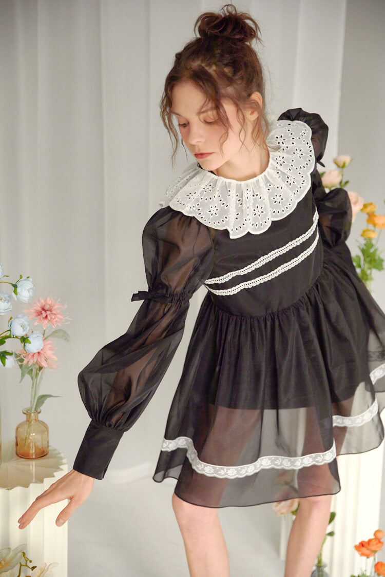 Elegant Lace & Frill Black Dress