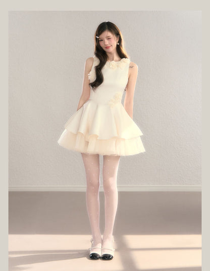 Classic Rose Appliqué Princess Mini Dress