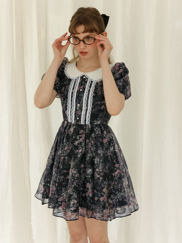 Black Sheer Floral Dress
