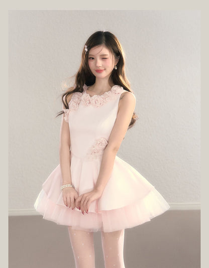 Classic Rose Appliqué Princess Mini Dress