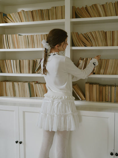 Dreamy Sheer Ribbon Mini Skirt