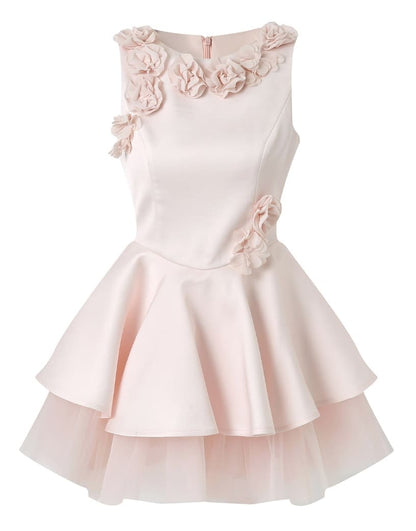 Classic Rose Appliqué Princess Mini Dress