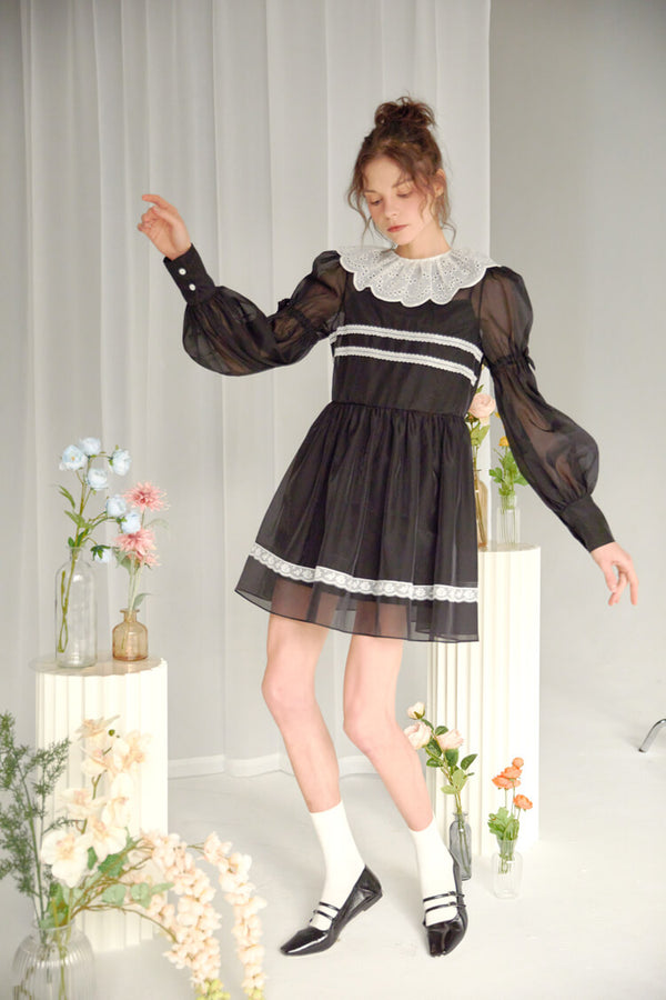 Elegant Lace & Frill Black Dress